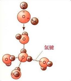 水分子团的介绍