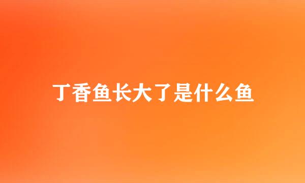 丁香鱼长大了是什么鱼