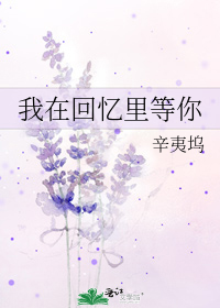 辛夷坞《我在回忆里等你》TXT下载