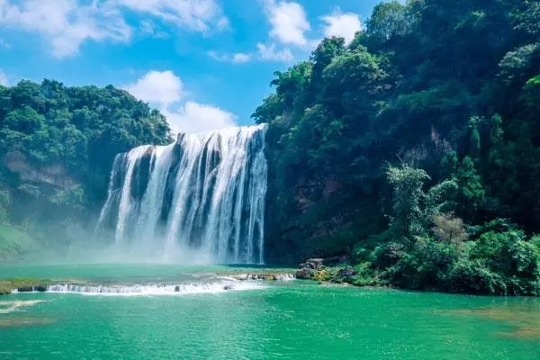 高山流水开过什么生肖