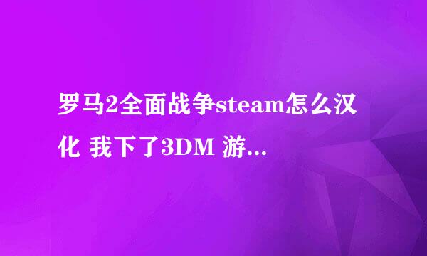 罗马2全面战争steam怎么汉化 我下了3DM 游侠的汉化补丁 打上去后进游戏就出现这个 然后进去就是英文的