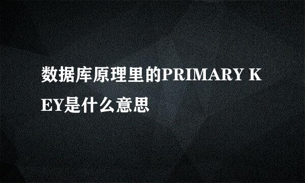 数据库原理里的PRIMARY KEY是什么意思