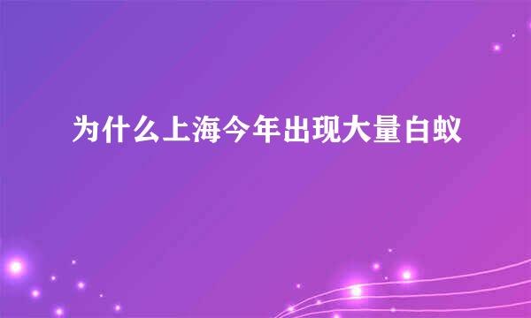 为什么上海今年出现大量白蚁