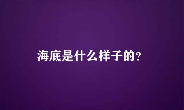 海底是什么样子的？