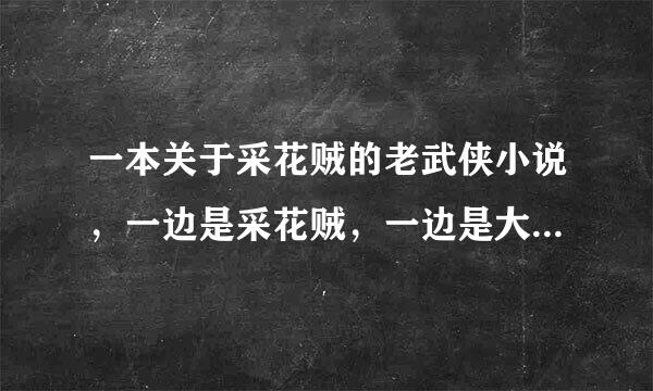 一本关于采花贼的老武侠小说，一边是采花贼，一边是大侠，女的成立一个联盟来对抗这个采花贼