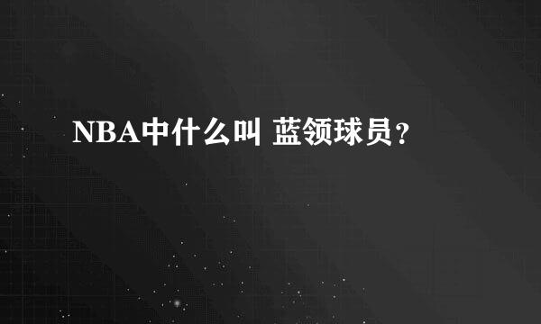 NBA中什么叫 蓝领球员？