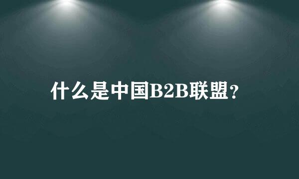 什么是中国B2B联盟？