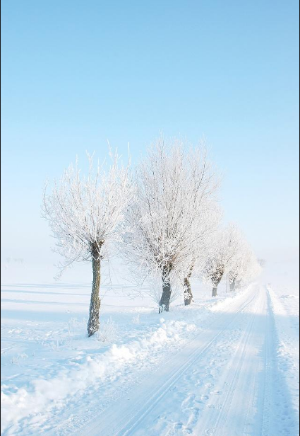 形容冬天的雪景非常美的诗句