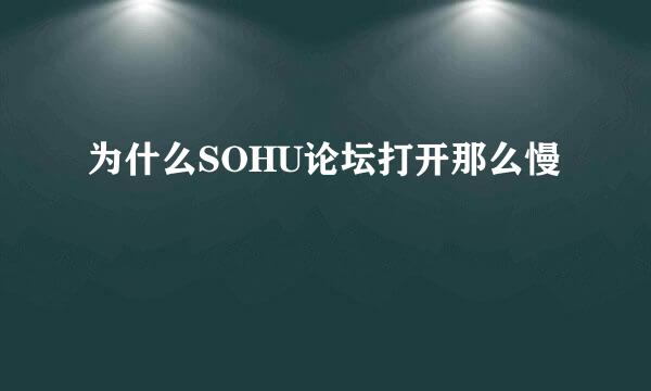 为什么SOHU论坛打开那么慢