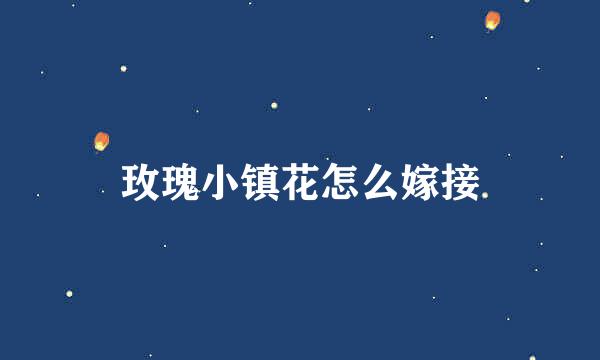 玫瑰小镇花怎么嫁接