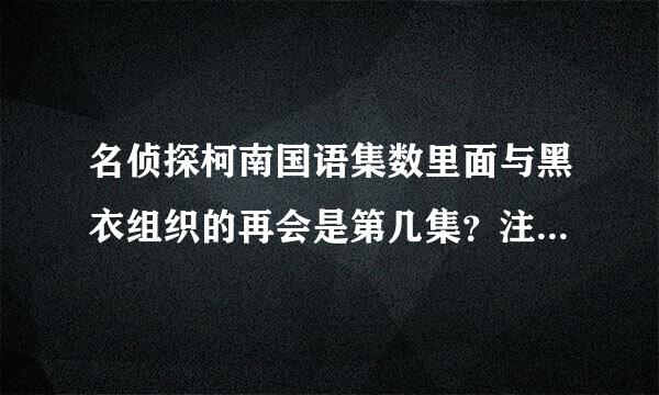 名侦探柯南国语集数里面与黑衣组织的再会是第几集？注意，是国语集数！