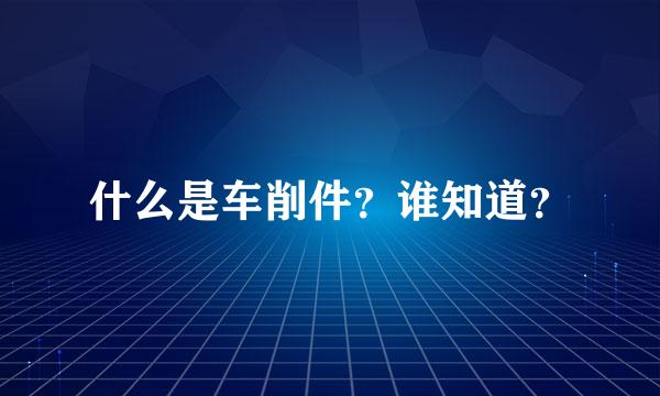 什么是车削件？谁知道？