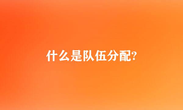 什么是队伍分配?