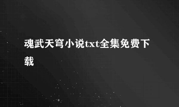 魂武天穹小说txt全集免费下载