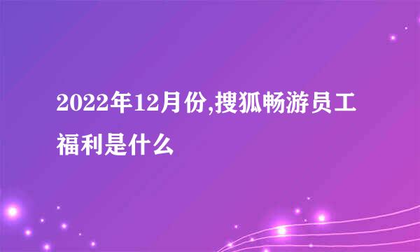 2022年12月份,搜狐畅游员工福利是什么