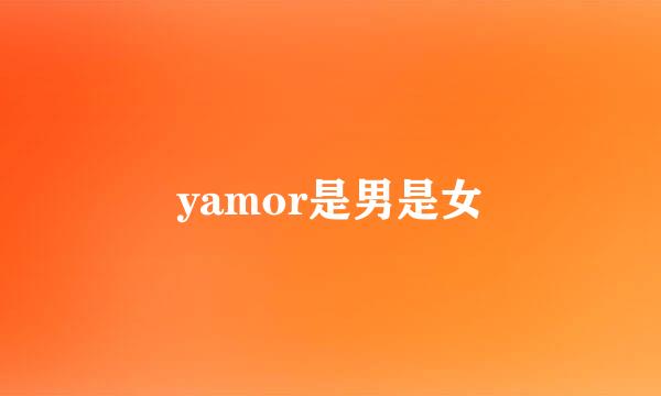 yamor是男是女