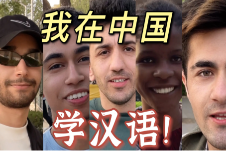 外国人怎样学中文