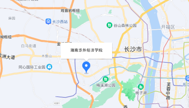 湖南涉外经济学院在哪里？