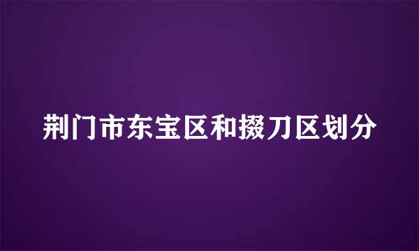 荆门市东宝区和掇刀区划分