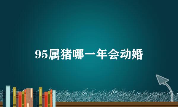 95属猪哪一年会动婚