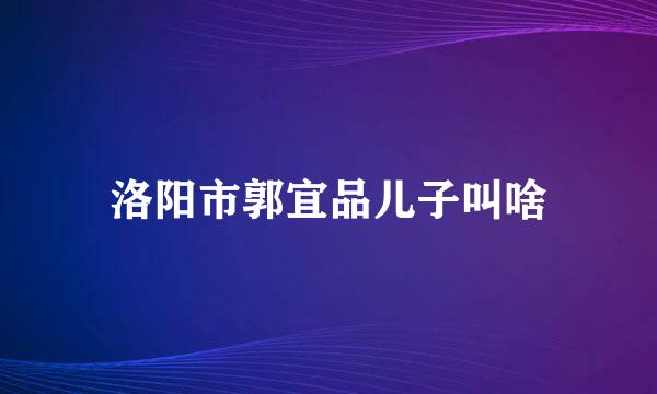 洛阳市郭宜品儿子叫啥