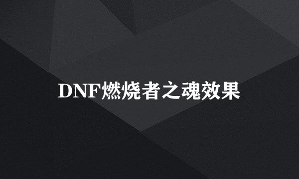 DNF燃烧者之魂效果