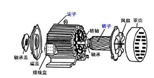 电动机的定子和转子分别指什么？