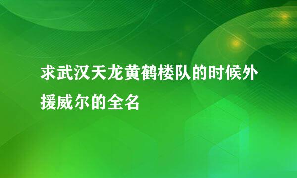 求武汉天龙黄鹤楼队的时候外援威尔的全名