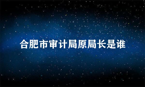 合肥市审计局原局长是谁