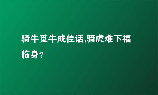 骑牛觅牛成佳话,骑虎难下福临身？