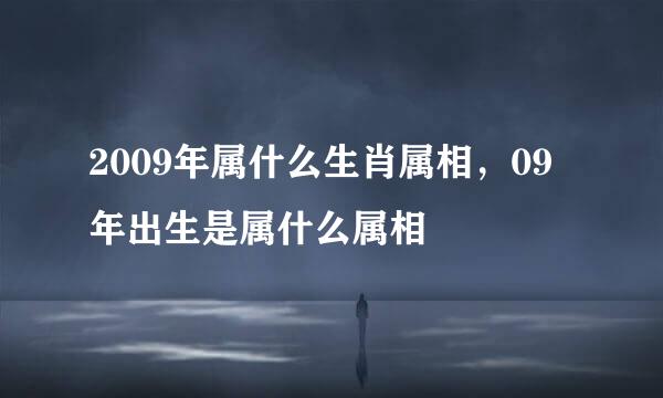 2009年属什么生肖属相，09年出生是属什么属相