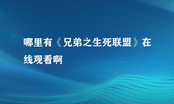 哪里有《兄弟之生死联盟》在线观看啊