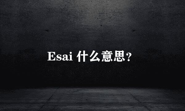 Esai 什么意思？