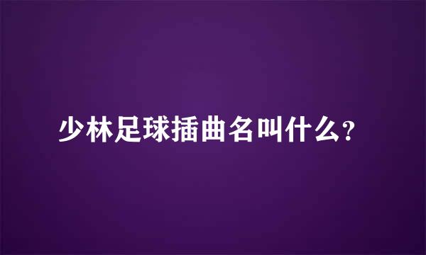 少林足球插曲名叫什么？