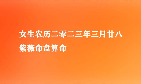 女生农历二零二三年三月廿八紫薇命盘算命