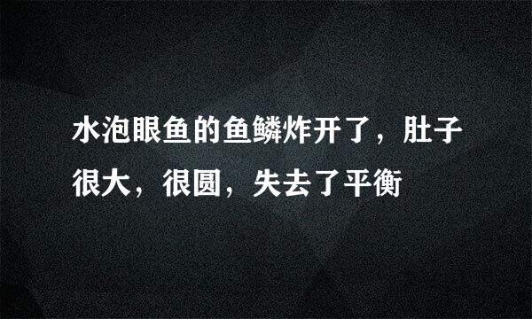 水泡眼鱼的鱼鳞炸开了，肚子很大，很圆，失去了平衡