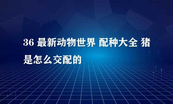 36 最新动物世界 配种大全 猪是怎么交配的