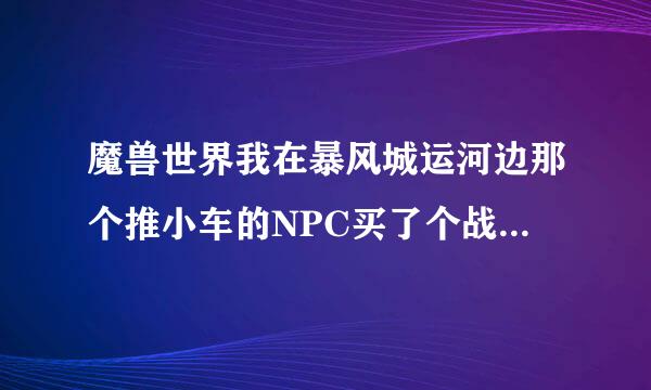 魔兽世界我在暴风城运河边那个推小车的NPC买了个战斗机器人的点火钥匙，但是使用以后没有机器人啊？？