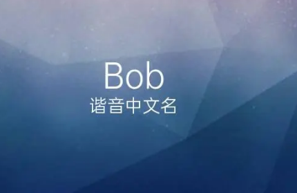 bob的中文意思