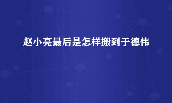 赵小亮最后是怎样搬到于德伟