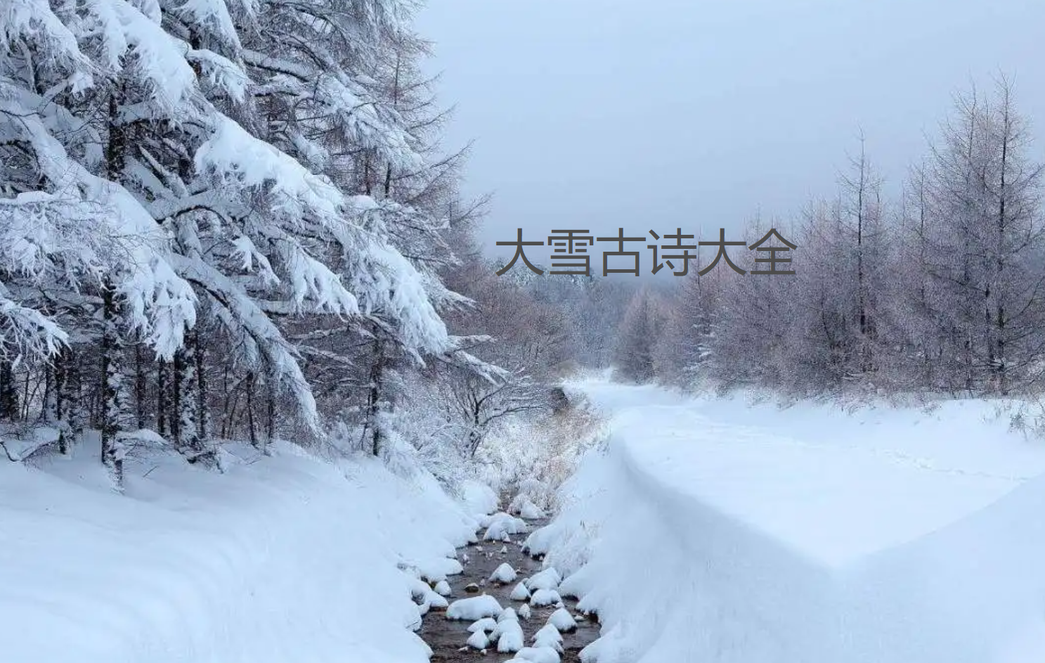 大雪古诗大全