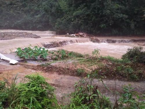 广东英德特大暴雨破纪录，如身在灾区突遇险情，应该怎么办？