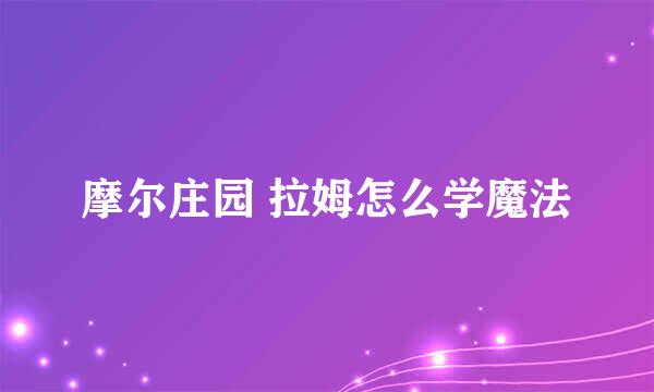 摩尔庄园 拉姆怎么学魔法