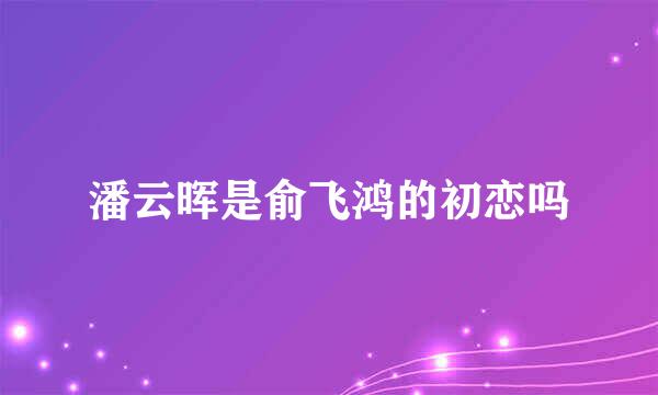 潘云晖是俞飞鸿的初恋吗