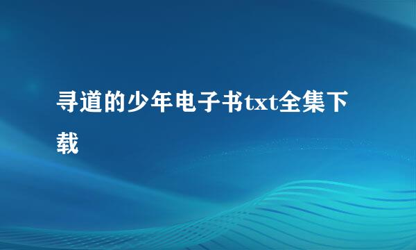 寻道的少年电子书txt全集下载