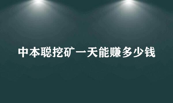 中本聪挖矿一天能赚多少钱