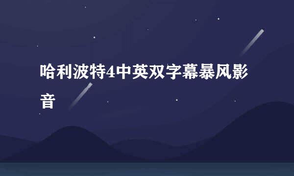 哈利波特4中英双字幕暴风影音