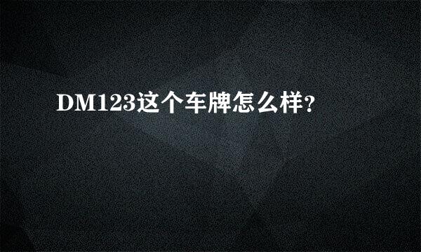 DM123这个车牌怎么样？