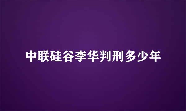 中联硅谷李华判刑多少年