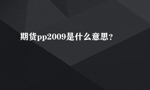 期货pp2009是什么意思？